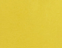 amarillo art 6050