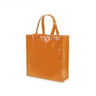 BOLSA DIVIA - NON-WOVEN LAMINADO - Imagen 4