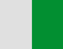 blanco y verde helecho 01226 art 6650