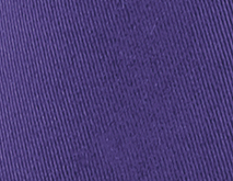 purple art b10