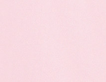 rosa palido art 11380