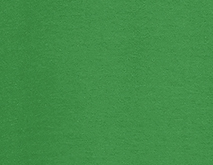 verde pradera art 03565