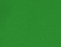 verde helecho art 0404