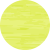 AMARILLOFLUORVIFORE_ROLY