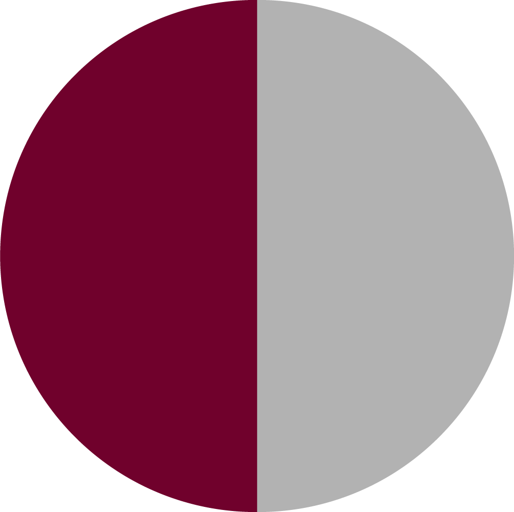 BURGUNDYLIGHTGREY_TOPTEX