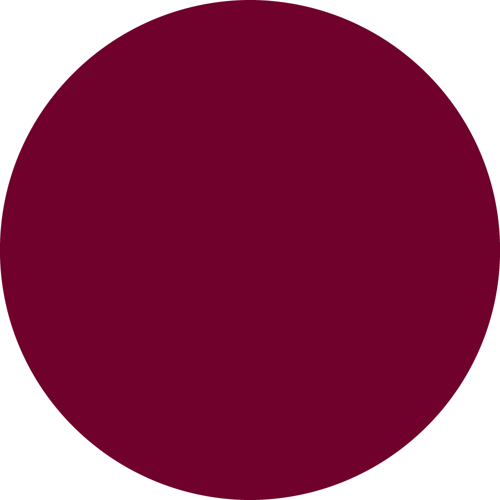 BURGUNDY_TOPTEX