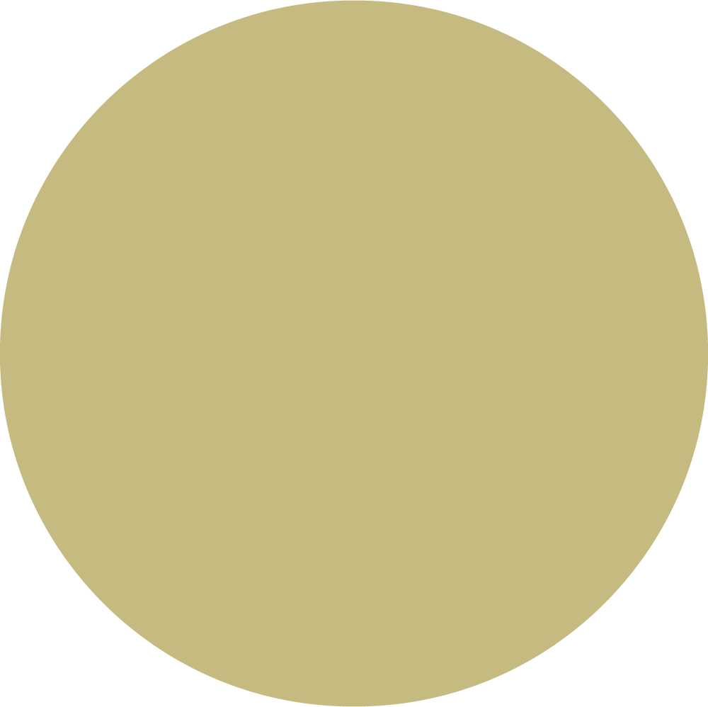 BURNTLIME_TOPTEX