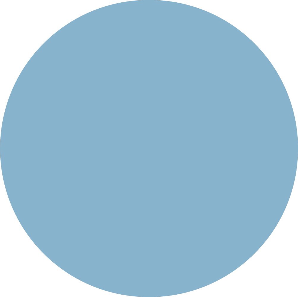 CAROLINABLUE_TOPTEX