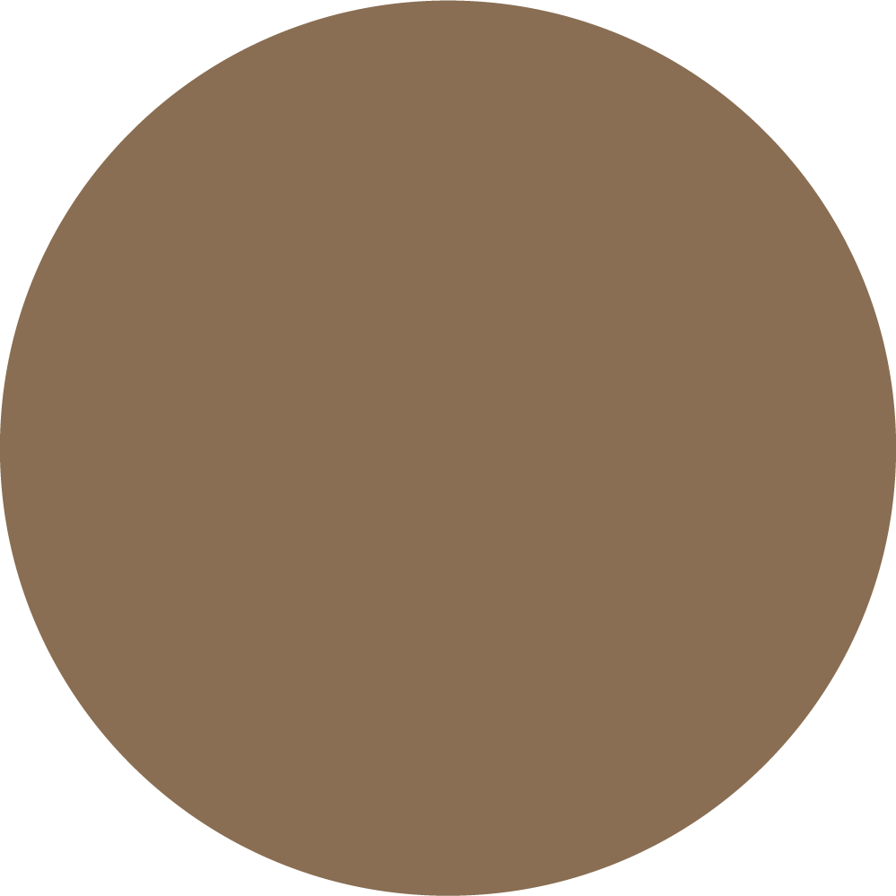 CAMEL_TOPTEX
