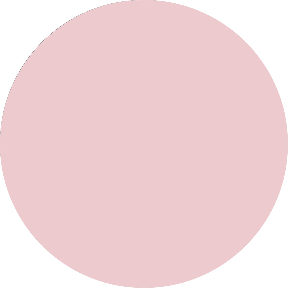 DUSTYPINK_TOPTEX