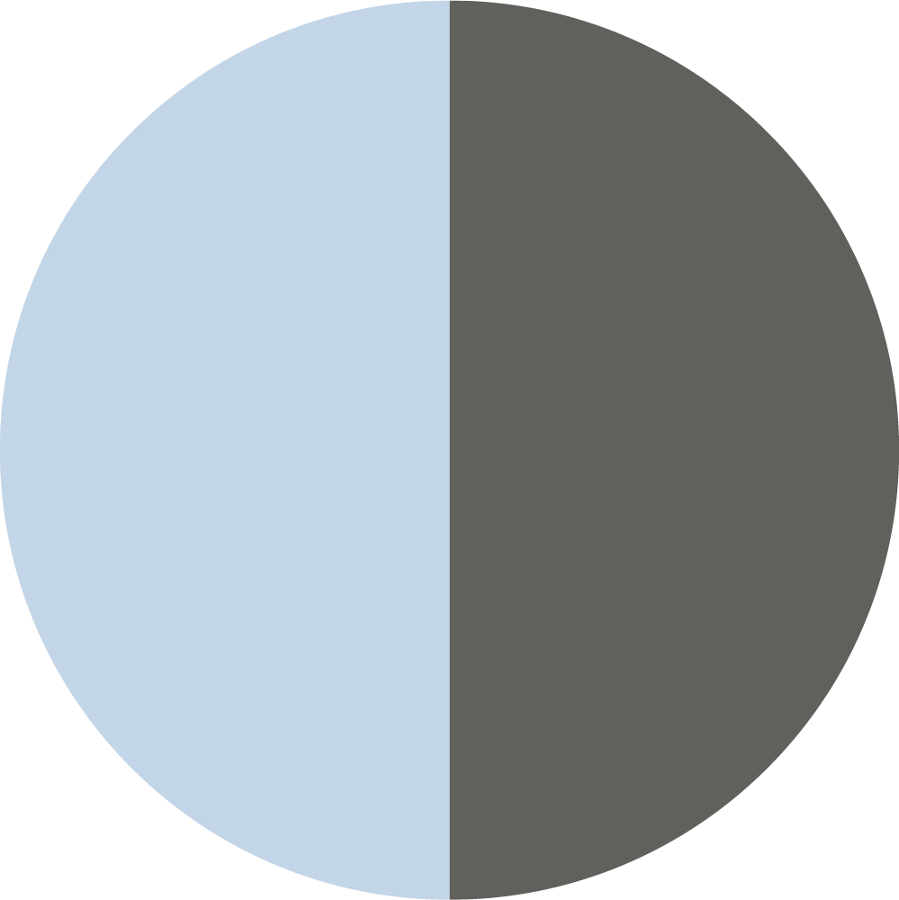 ICEMINTDARKGREY_TOPTEX