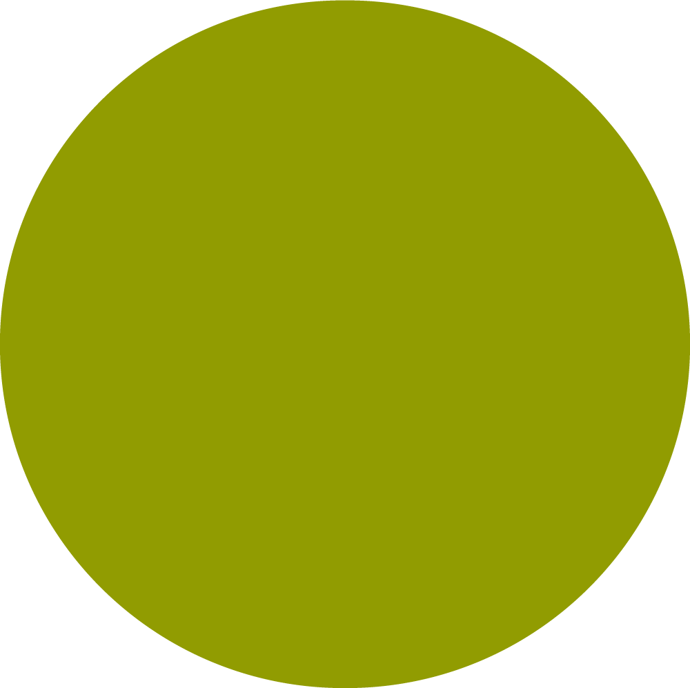 KIWI_TOPTEX