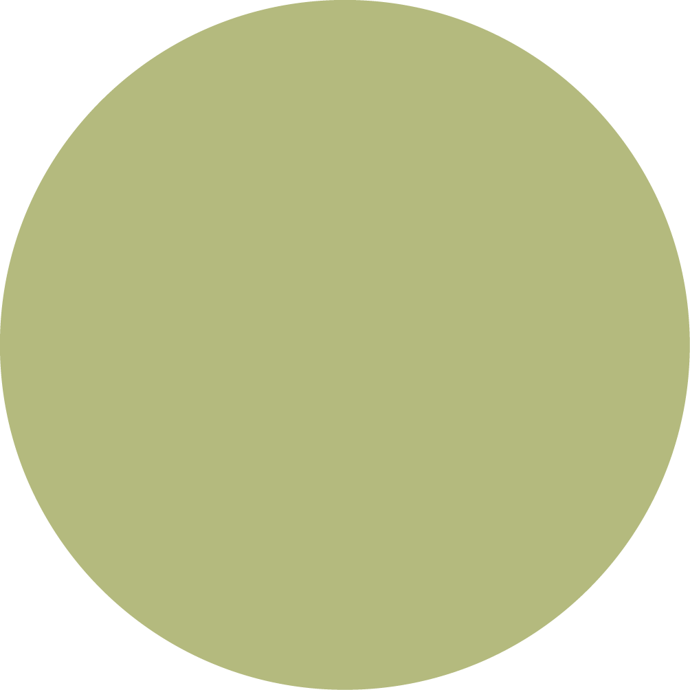 LIME_TOPTEX