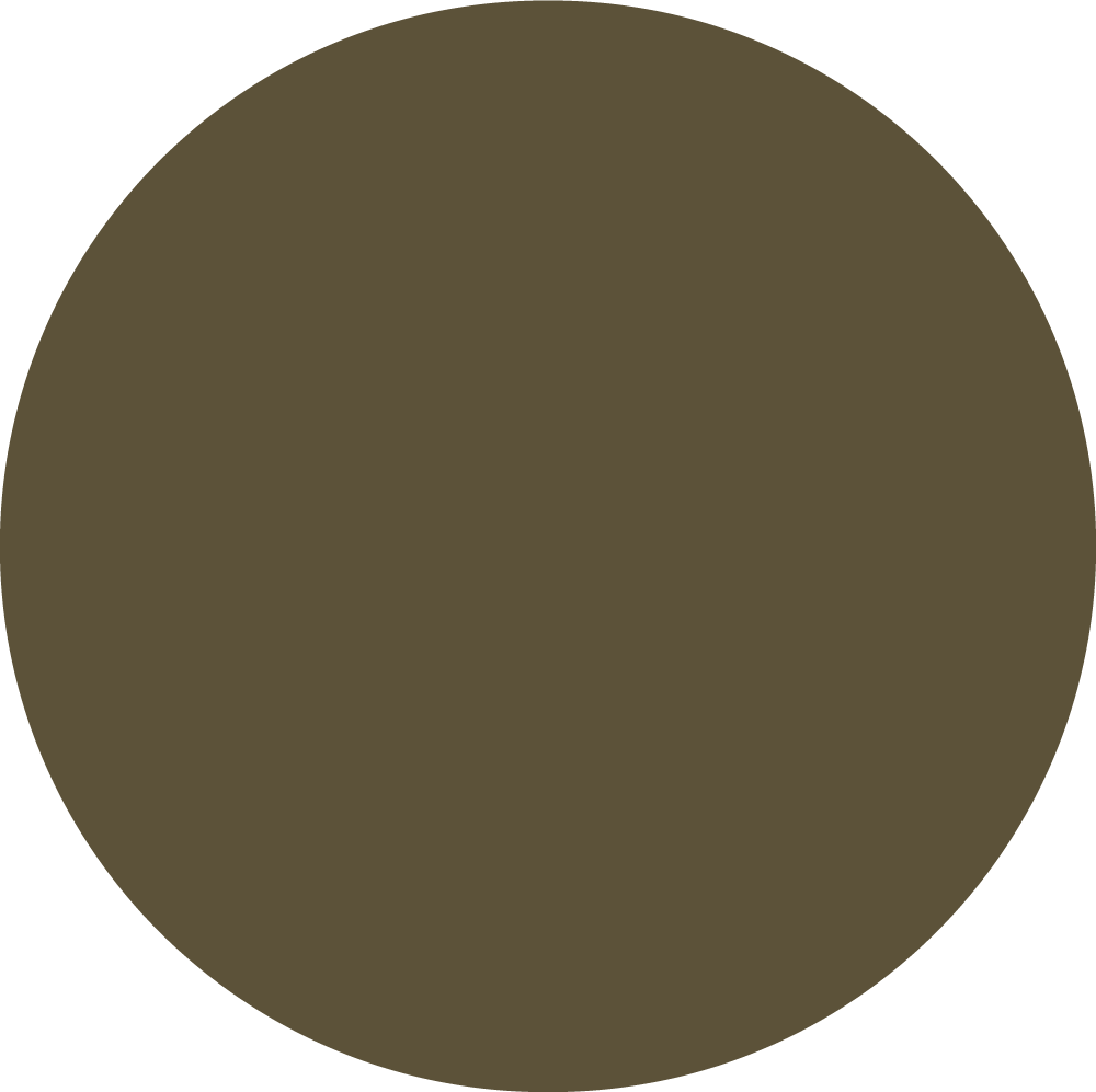 OLIVE_TOPTEX
