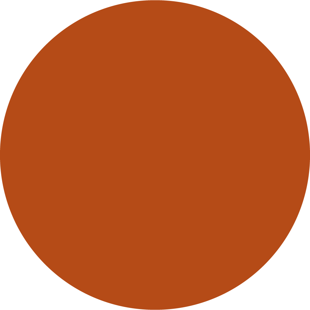 ORANGERUST_TOPTEX