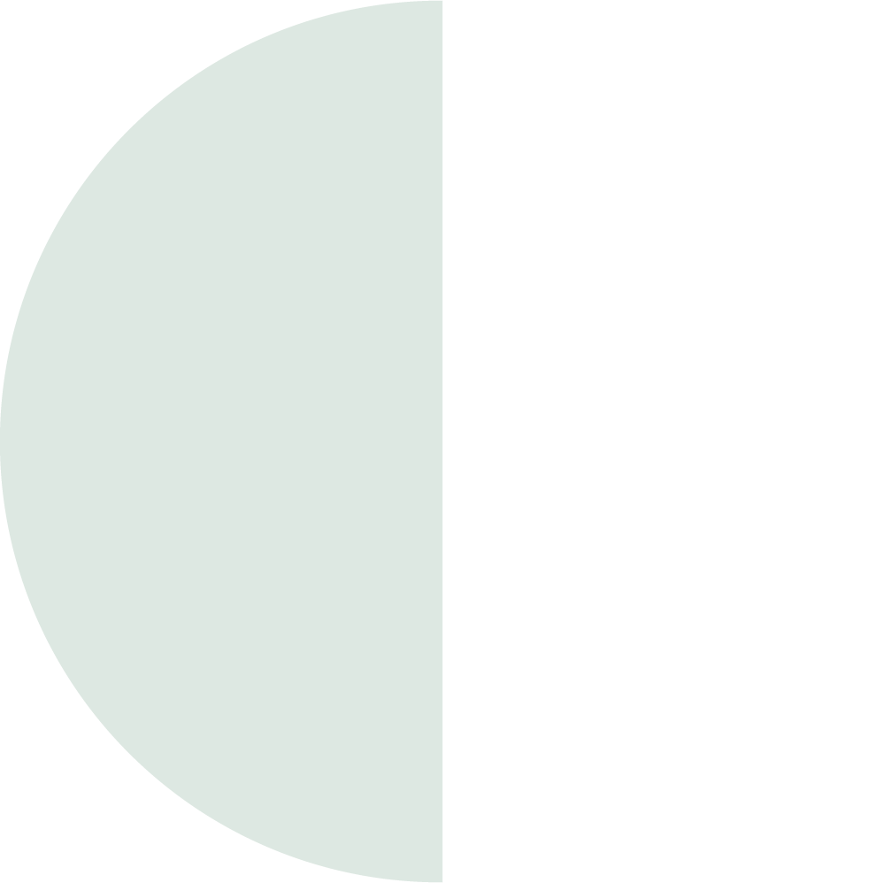 PASTELMINTWHITE_TOPTEX