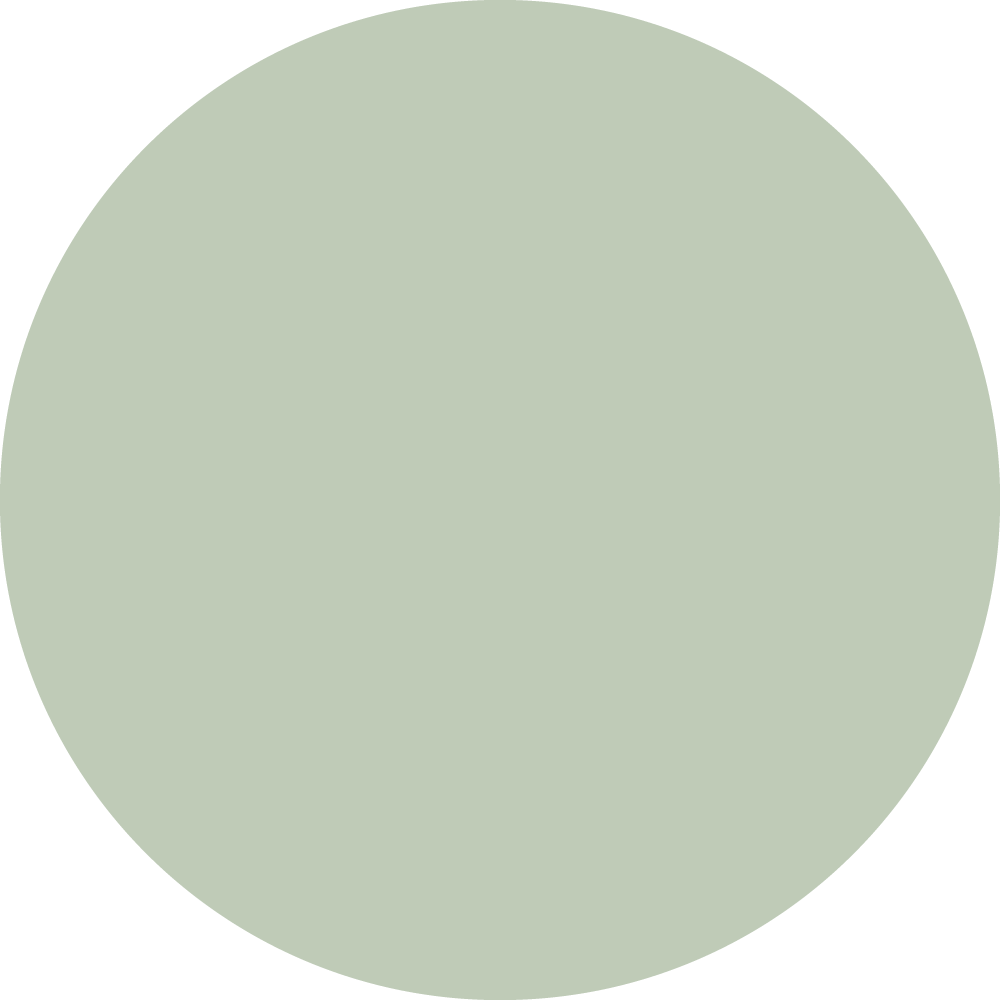 PISTACHIOGREEN_TOPTEX