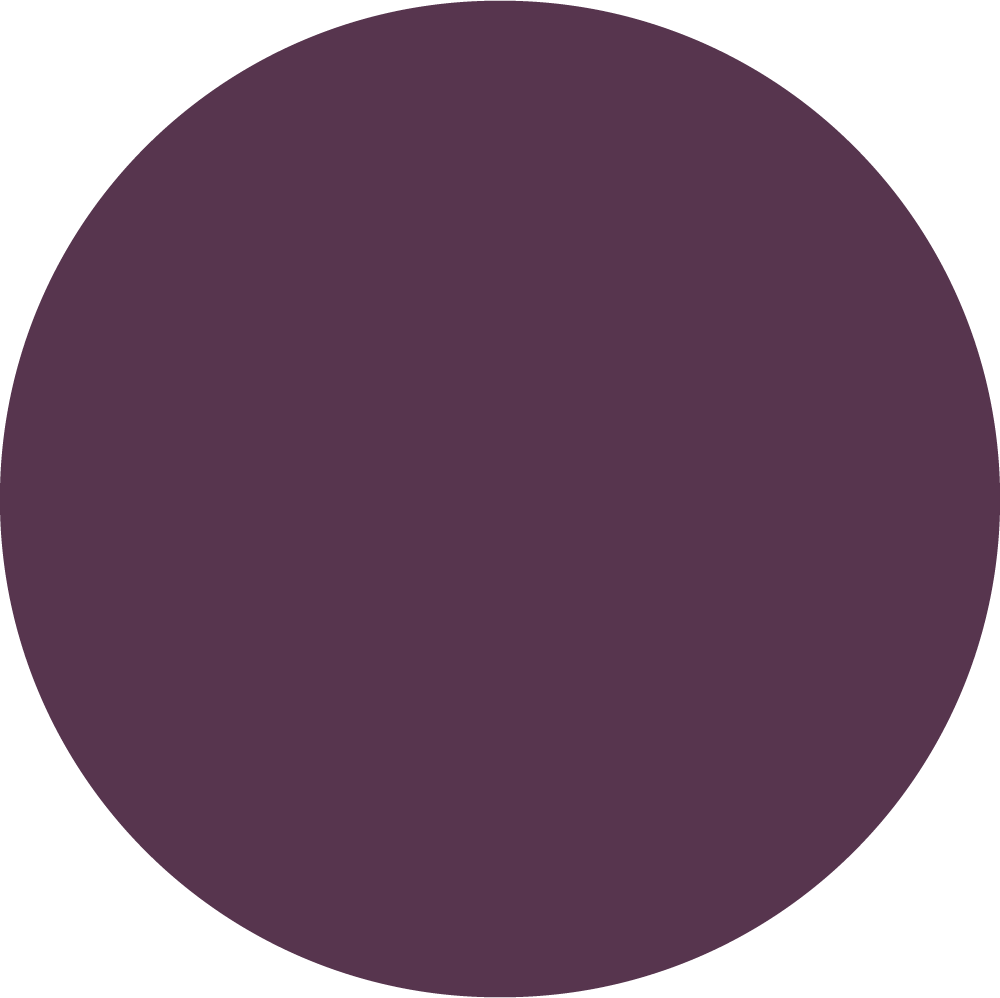 PLUM_TOPTEX