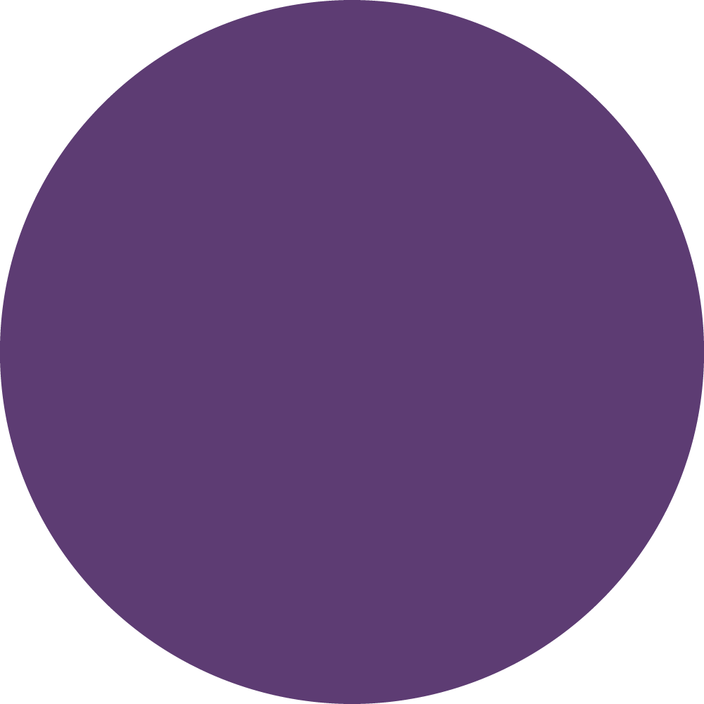 PURPLE_TOPTEX