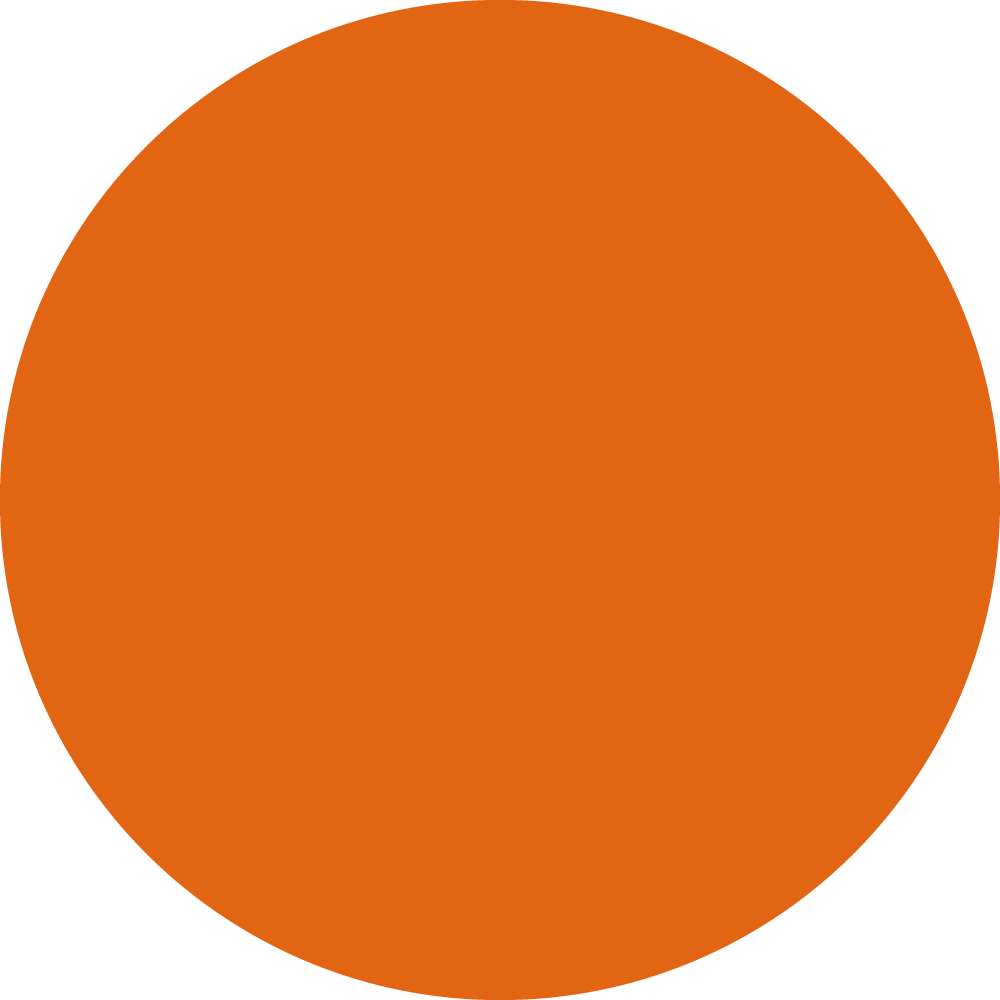 SPICYORANGE_TOPTEX