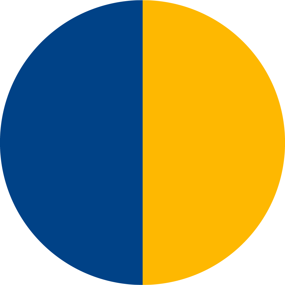 SPORTYROYALBLUESPORTYYELLOW_TOPTEX
