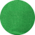 VERDEHELECHOVIGORÉ_ROLY