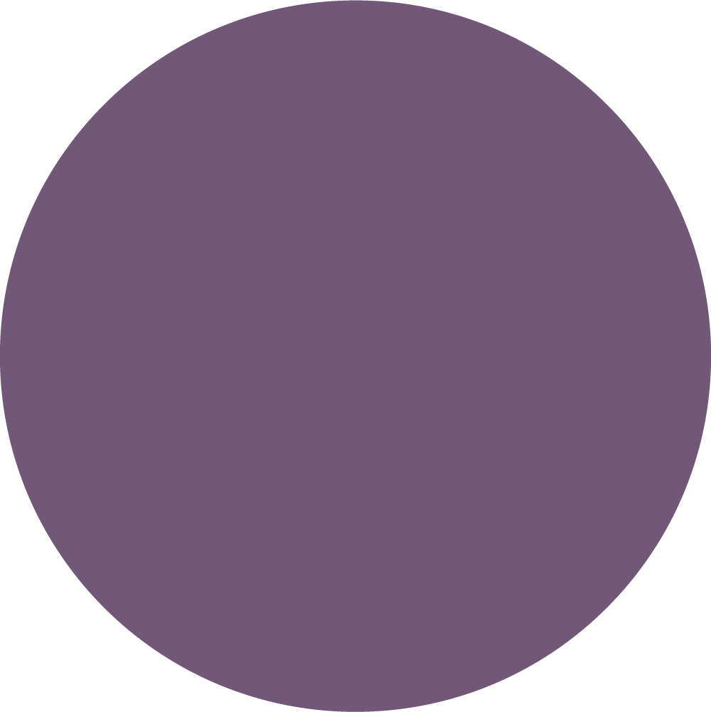 VIOLET_TOPTEX